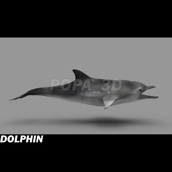shark sea animals 3d max - Sea Animals Collection... by POPA_3D