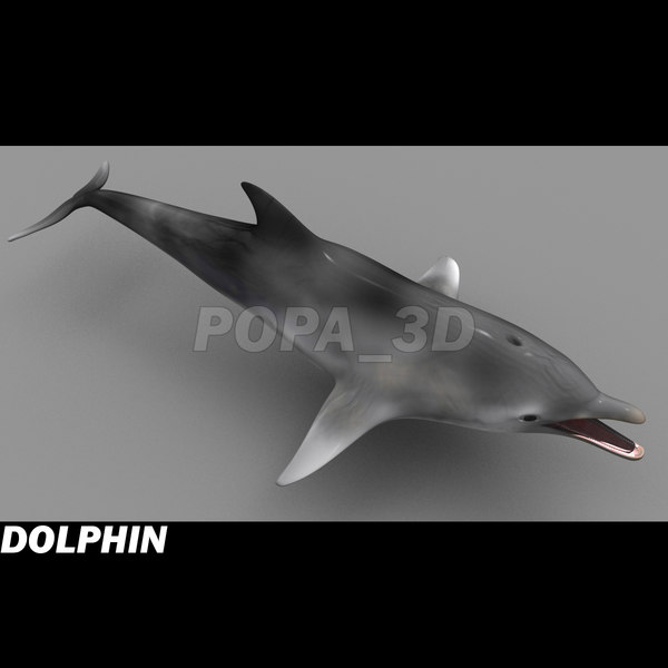 shark sea animals 3d max - Sea Animals Collection... by POPA_3D