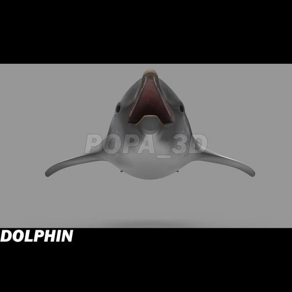 shark sea animals 3d max - Sea Animals Collection... by POPA_3D