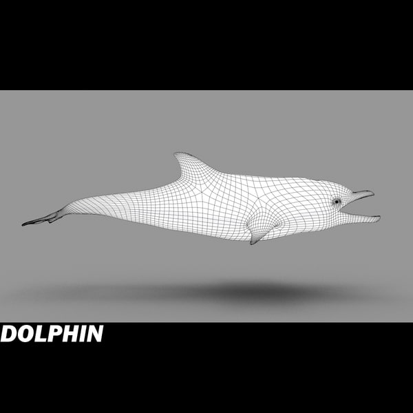 shark sea animals 3d max - Sea Animals Collection... by POPA_3D