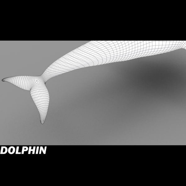 shark sea animals 3d max - Sea Animals Collection... by POPA_3D