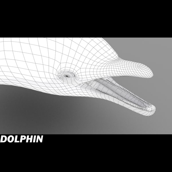 shark sea animals 3d max - Sea Animals Collection... by POPA_3D