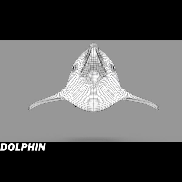 shark sea animals 3d max - Sea Animals Collection... by POPA_3D
