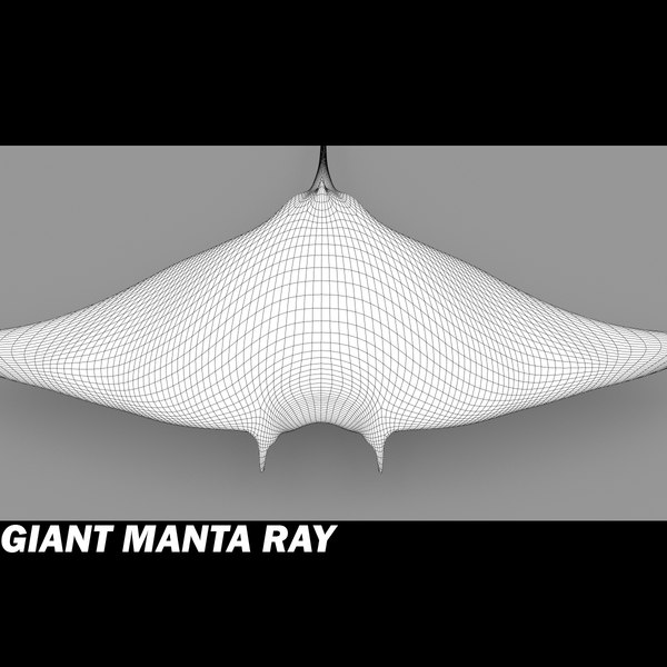 shark sea animals 3d max - Sea Animals Collection... by POPA_3D