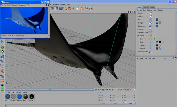 shark sea animals 3d max - Sea Animals Collection... by POPA_3D