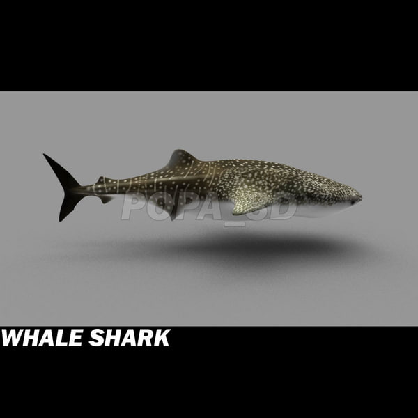 shark sea animals 3d max - Sea Animals Collection... by POPA_3D