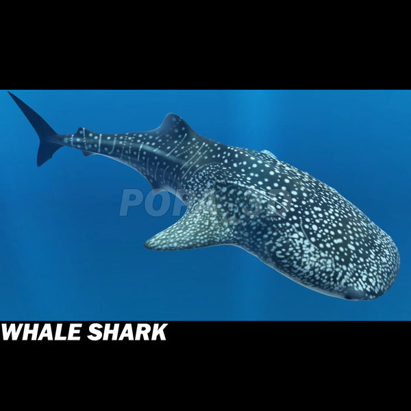 shark sea animals 3d max - Sea Animals Collection... by POPA_3D
