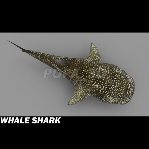 shark sea animals 3d max - Sea Animals Collection... by POPA_3D