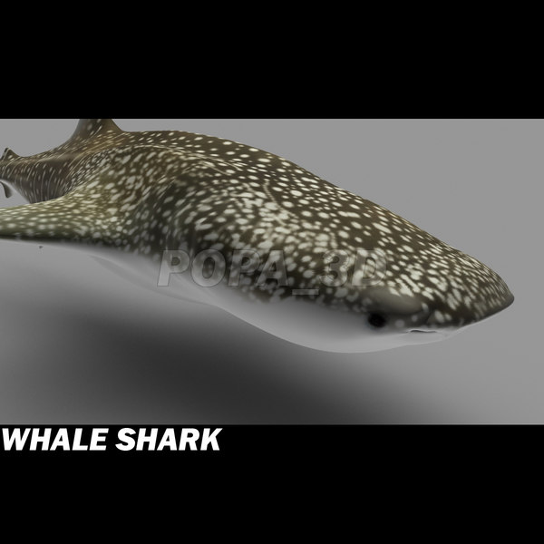shark sea animals 3d max - Sea Animals Collection... by POPA_3D