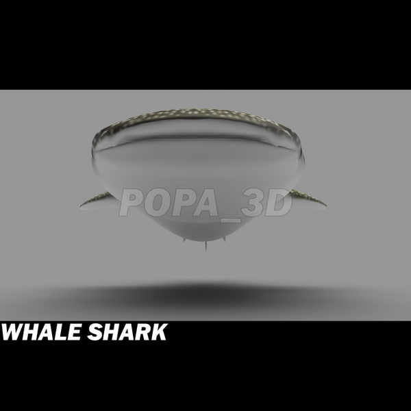 shark sea animals 3d max - Sea Animals Collection... by POPA_3D