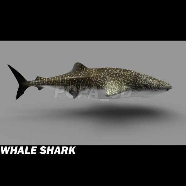shark sea animals 3d max - Sea Animals Collection... by POPA_3D