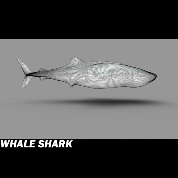 shark sea animals 3d max - Sea Animals Collection... by POPA_3D
