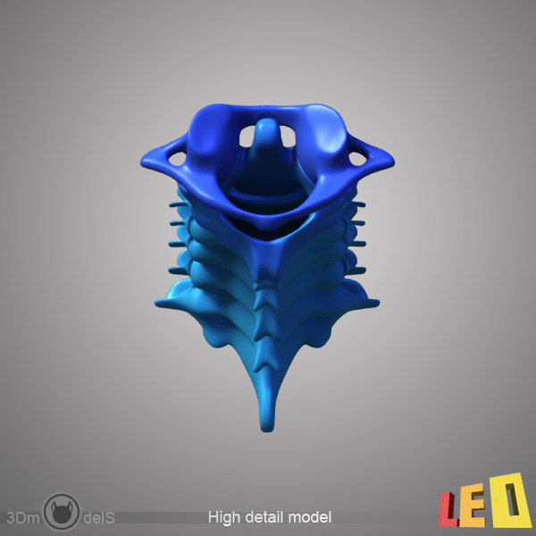 human skeleton separated bones 3d max - Human skeleton with separated bones by leo3Dmodels