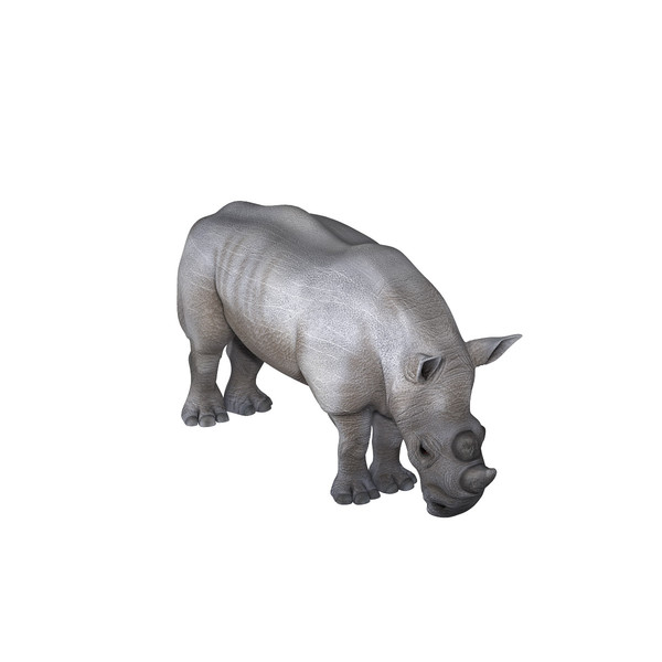 maya realistic white rhinoceros - White Rhinoceros by Massimo Righi
