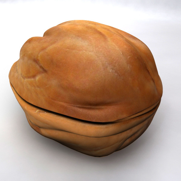 3d walnut nut model - Walnut by makeionesco