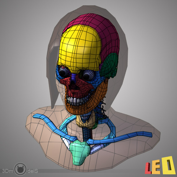female head anatomy eye 3d obj - Female Head Anatomy by leo3Dmodels