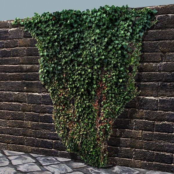 3ds max ivy - Ivy by Xupypr_06