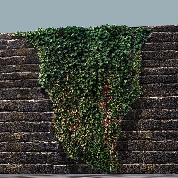 3ds max ivy - Ivy by Xupypr_06