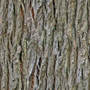Tree Trunk Tileable Texture