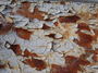 Old cracked paint pack
