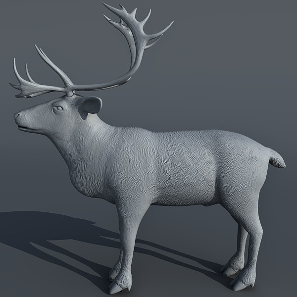 max reindeer deer - Reindeer 3d model by Eric.Levi