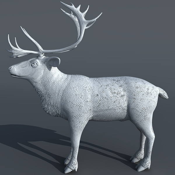 max reindeer deer - Reindeer 3d model by Eric.Levi