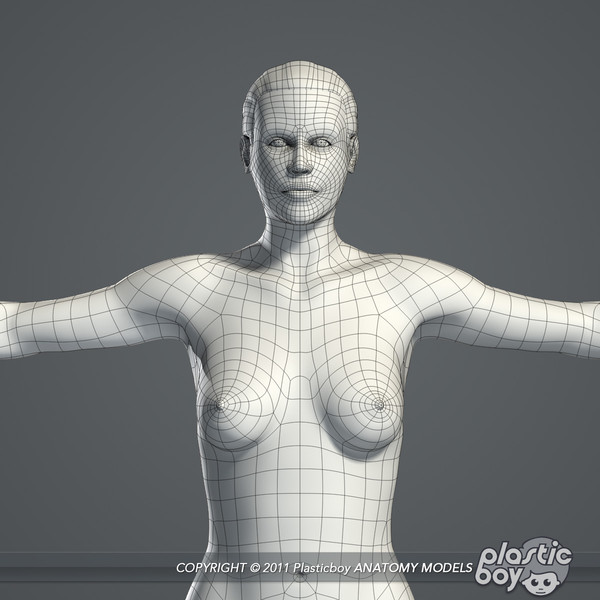 max realistic human male female - Male and Female Body Anatomy V04 (Textured) by plasticboy