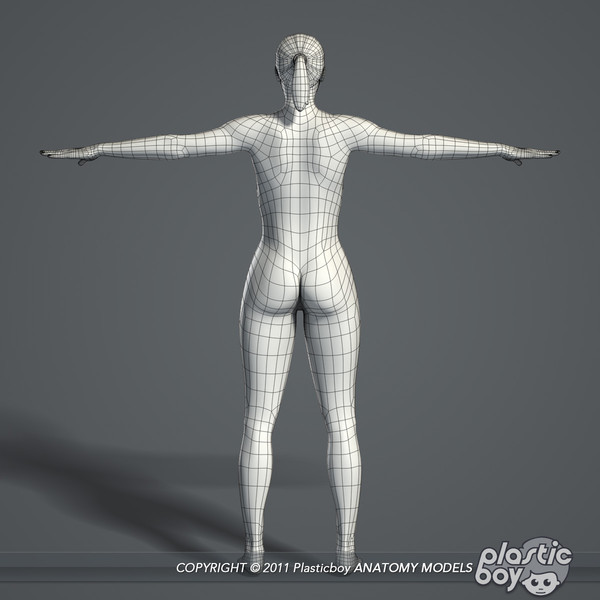 max realistic human male female - Male and Female Body Anatomy V04 (Textured) by plasticboy
