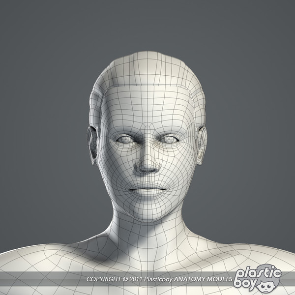 max realistic human male female - Male and Female Body Anatomy V04 (Textured) by plasticboy