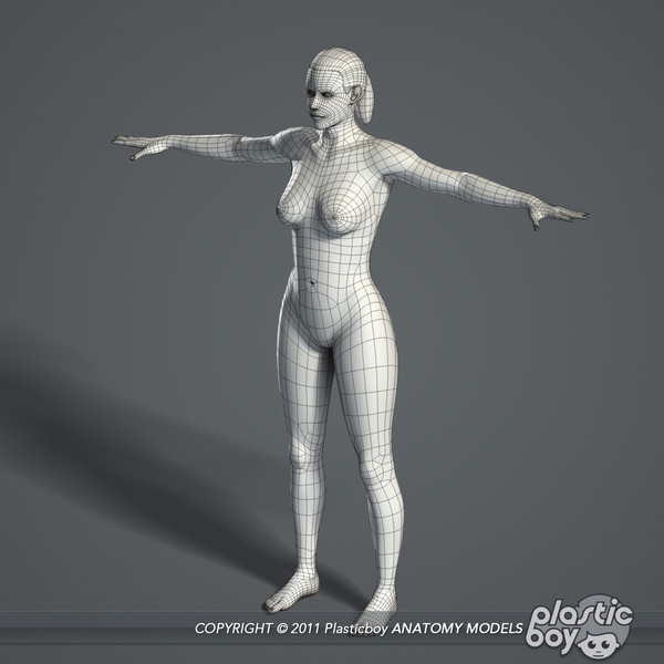 max realistic human male female - Male and Female Body Anatomy V04 (Textured) by plasticboy
