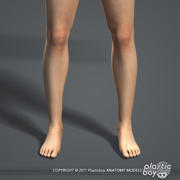 max realistic human male female - Male and Female Body Anatomy V04 (Textured) by plasticboy