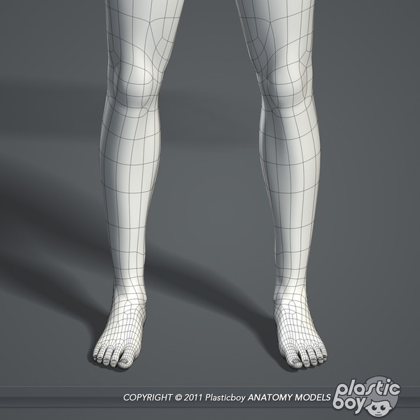 max realistic human male female - Male and Female Body Anatomy V04 (Textured) by plasticboy