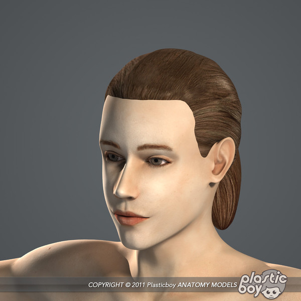 max realistic human male female - Male and Female Body Anatomy V04 (Textured) by plasticboy