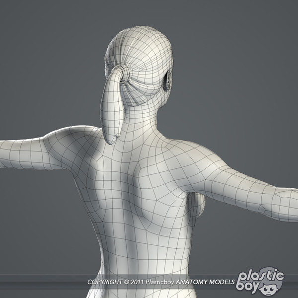 max realistic human male female - Male and Female Body Anatomy V04 (Textured) by plasticboy