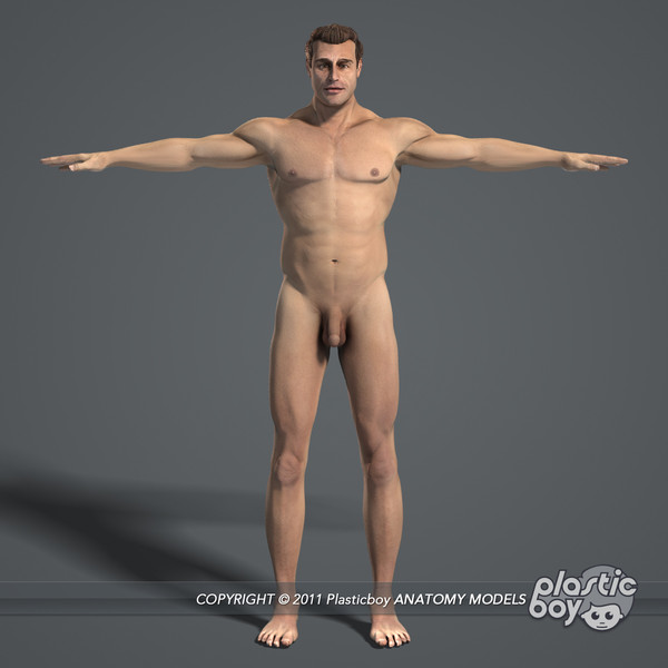max realistic human male female - Male and Female Body Anatomy V04 (Textured) by plasticboy