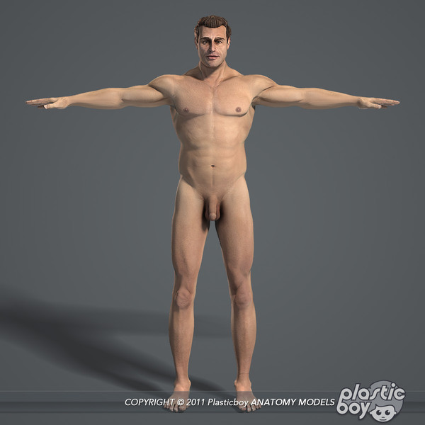 max realistic human male female - Male and Female Body Anatomy V04 (Textured) by plasticboy