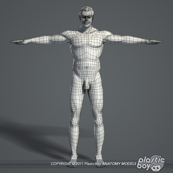 max realistic human male female - Male and Female Body Anatomy V04 (Textured) by plasticboy