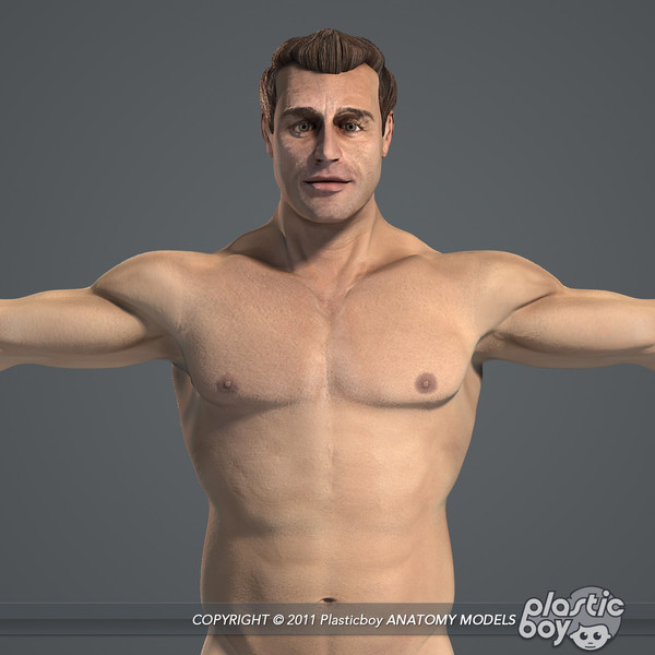 max realistic human male female - Male and Female Body Anatomy V04 (Textured) by plasticboy
