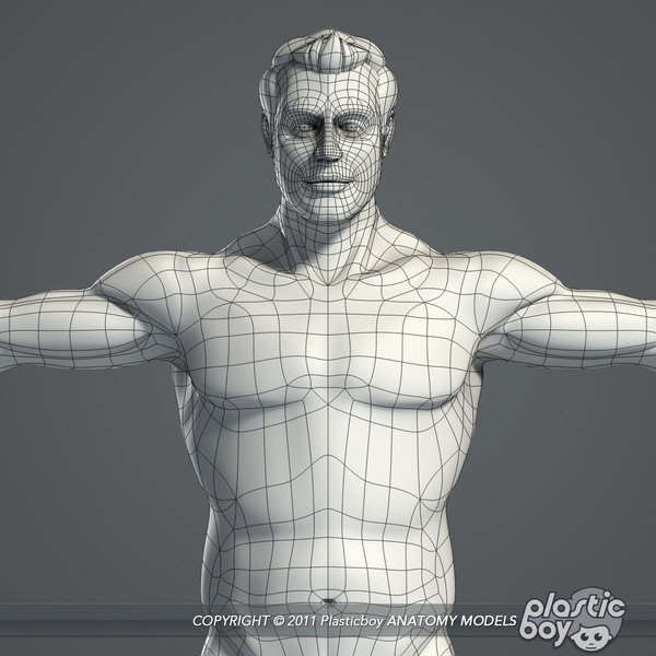 max realistic human male female - Male and Female Body Anatomy V04 (Textured) by plasticboy