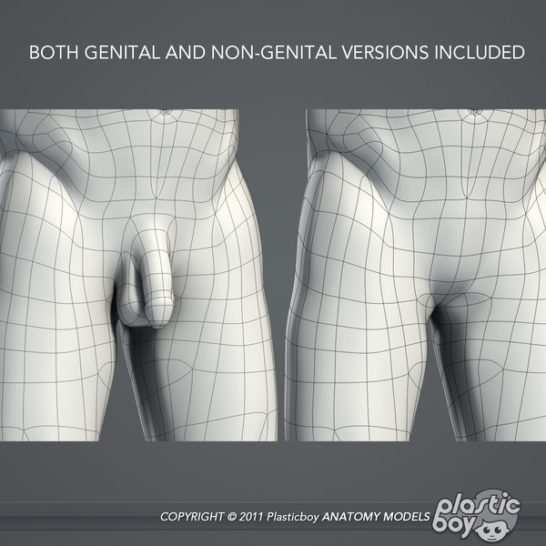 max realistic human male female - Male and Female Body Anatomy V04 (Textured) by plasticboy
