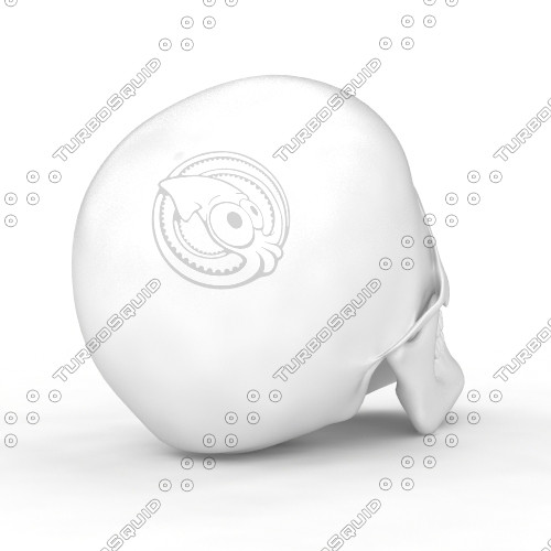 skull jaw teeth 3d model - Skull HQ by piren
