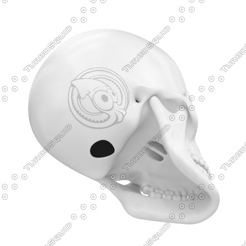 skull jaw teeth 3d model - Skull HQ by piren
