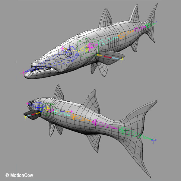 barracuda fish max - Barracuda by MotionCow
