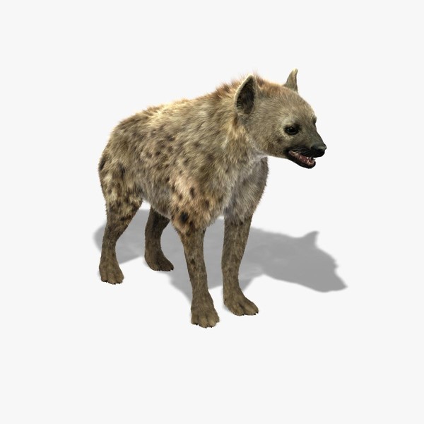 3d model of hyena shave modeled - Hyena (FUR) by Massimo Righi