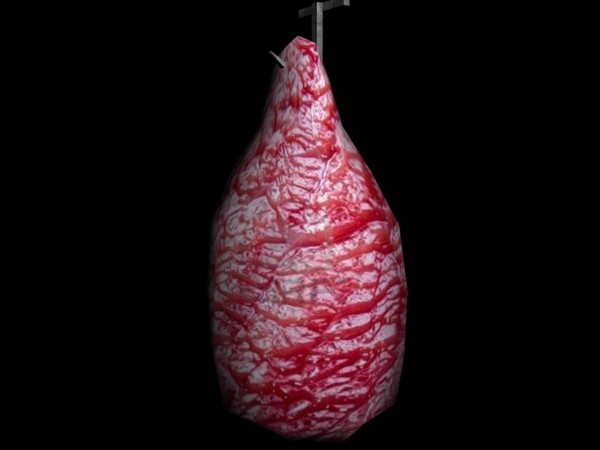 free max model meat - Meat by dark1nqdizyn