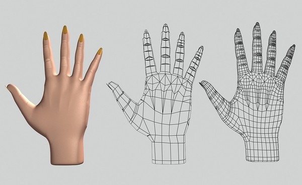 realistic female hand 3d model - Female Hand by shank3d