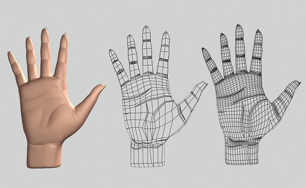 realistic female hand 3d model - Female Hand by shank3d