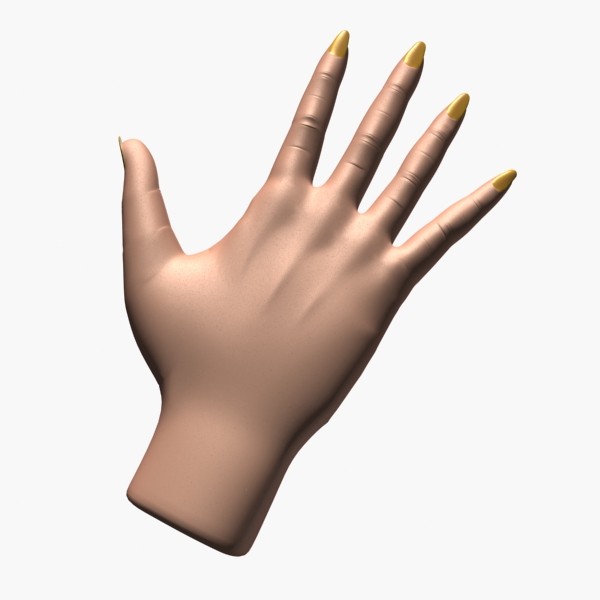 realistic female hand 3d model - Female Hand by shank3d