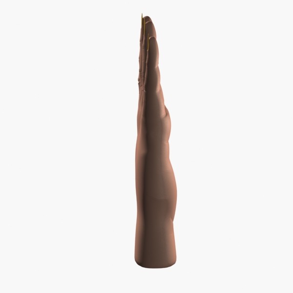 realistic female hand 3d model - Female Hand by shank3d