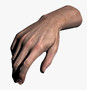 hand quad high-res 3d model